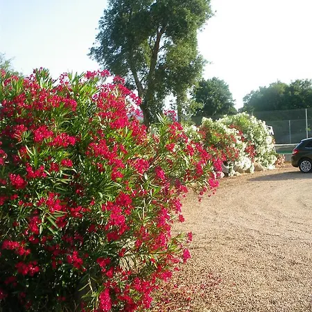 Apartment Residence Les Jardins De Sainte-Lucie 